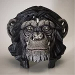 Chimpanzee