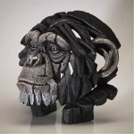 Chimpanzee