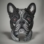 French Bulldog Bust – (Pied)
